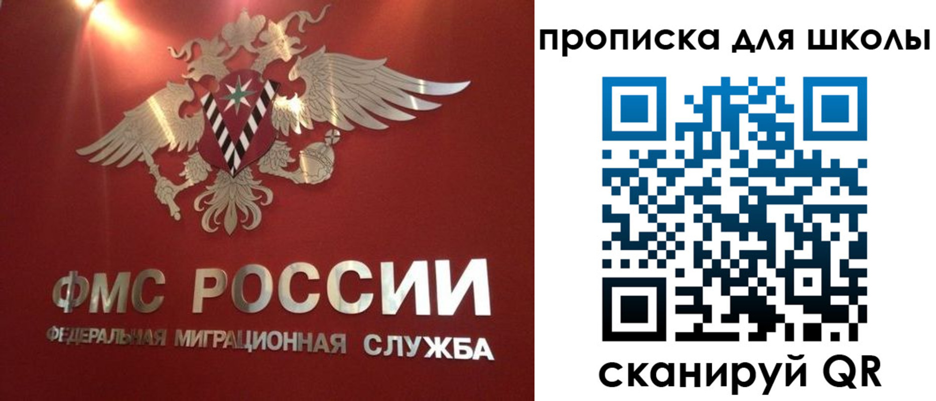 миграционный учет в Калининграде
